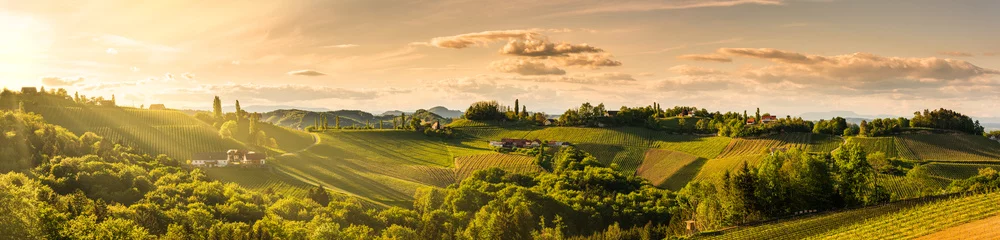 Keuken foto achterwand Wijngaard Panorama van wijngaarden heuvels in Zuid-Stiermarken, Oostenrijk. Toscane-achtige plek om te bezoeken.