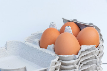 close up of hen eggs in paper container for transportation and to protection, isolated on white background with copy space.