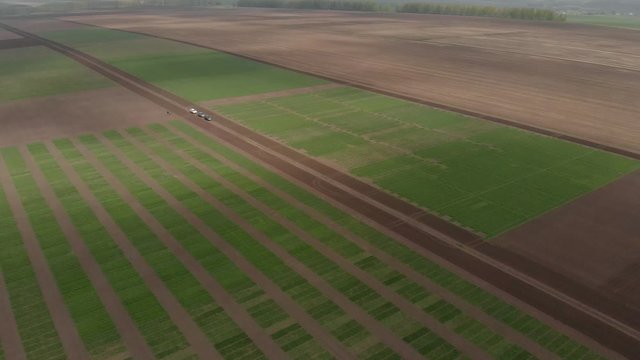 Winter wheat selection field divided into small areas for experiments