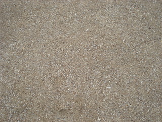 background of crumb shells on the beach