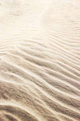 sand background on the beach