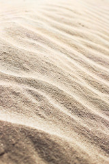 Fototapeta na wymiar sand background on the beach