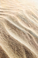 sand background on the beach