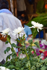 Ghazipur flower market situation in the morning, the flower itself came from China, Vietnam,...
