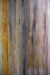 geradlinige, farbige holzformation mit struktur und parallelen linien, abstrakt trocken