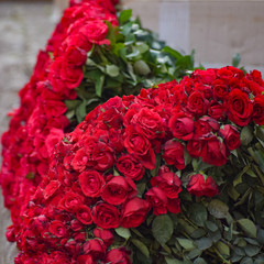 Ghazipur flower market situation in the morning, the flower itself came from China, Vietnam,...