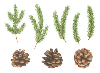 Pine Cones and Branches Set