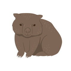 Wombat isolated on a white background. Vector graphics.