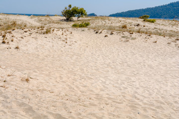 Beach with sand dunes and marram grass with blue sky
