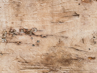 Fototapeta na wymiar Vintage white closeup of wood texture