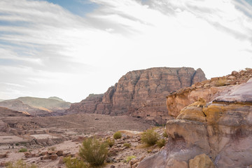 camouflage colored cat in the desert of petra