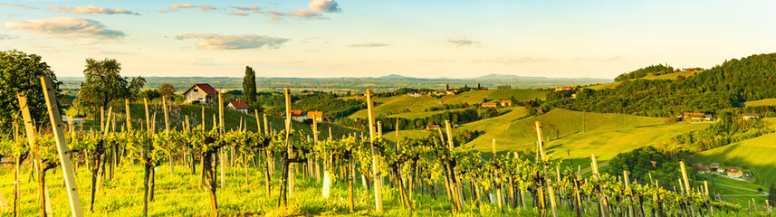 Panorama of vineyards hills in south Styria, Austria. Tuscany like place to visit.