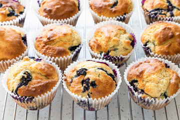 Fresh home baked blueberry muffins