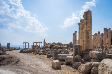 Ancient roman ruins in Jerash 