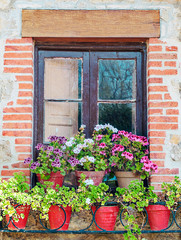 Fototapeta na wymiar Facade with flower pots in the windows