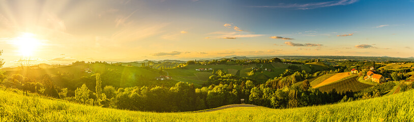 Fototapeta premium Panorama of vineyards hills in south Styria, Austria. Tuscany like place to visit.