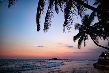 Palm tree on the background of sunset and sea surf on the beach in Sri Lanka.