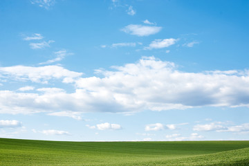 Fototapeta premium Beautiful field landscape. Countryside village rural natural background at sunny weather in spring summer. Green grass and blue sky with clouds. Nature protection concept.