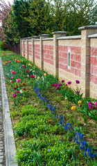 flower bed next to the road and the fence