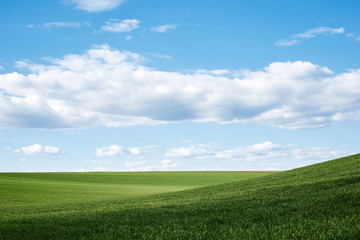 Beautiful field landscape. Countryside village rural natural background at sunny weather in spring summer. Green grass and blue sky with clouds. Nature protection concept.