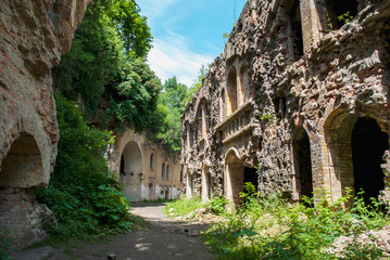 Fototapeta na wymiar Tarakanovsky fort all in green foliage