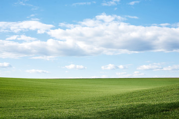 Obraz premium Beautiful field landscape. Countryside village rural natural background at sunny weather in spring summer. Green grass and blue sky with clouds. Nature protection concept.