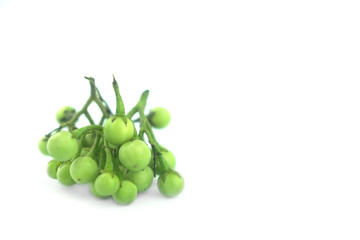 Green aubergine eggplant isolated on white background