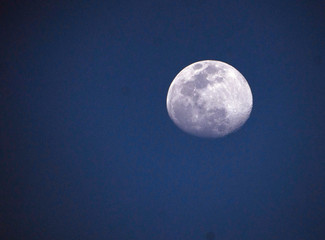 Full moon with grayish-white texture is high up in a dark blue sky.