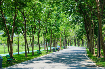 alley in the park