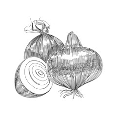 Onion vector logo design template. fresh vegetables, food or gardening hand draw illustration on white background