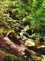 Cascade & verdure