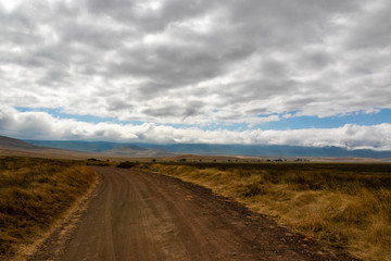 Fototapeta na wymiar タンザニア・ンゴロンゴロの平原と空に広がる雲