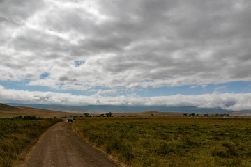 タンザニア・ンゴロンゴロの平原と空に広がる雲
