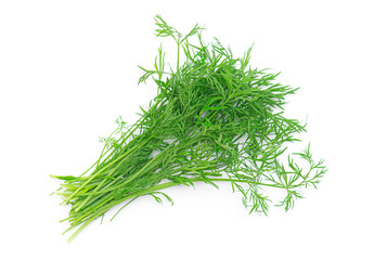 Fresh raw green dill isolated on white background