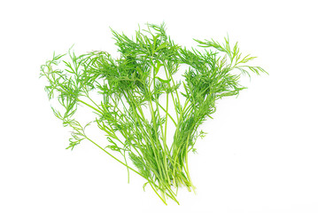 Fresh raw green dill isolated on white background