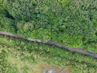 Top view of tropical forest with green trees and stream in southern Brazil