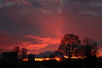 Natural Landscape sunset with purple, pink and orange sky in the Netherlands with a few building in the background