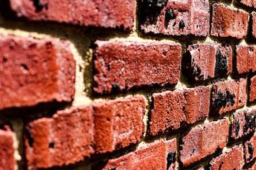 Brick wall with great detail