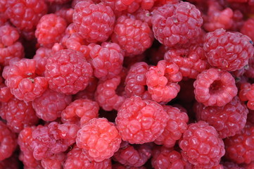 Red ripe fresh, sweet raspberries closeup