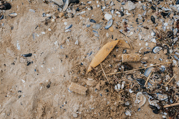 The problem of trash on the beach 
