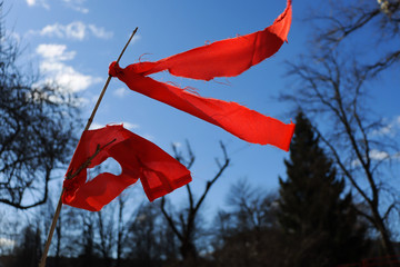 Red ribbon in the wind. Red ribbon