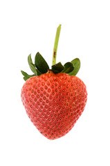 red strawberry on white background