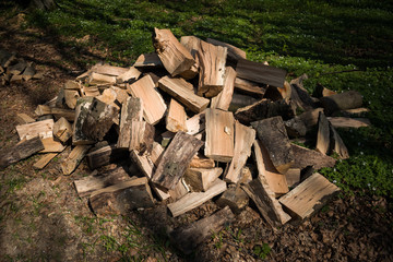 Pile of split wood in the forest