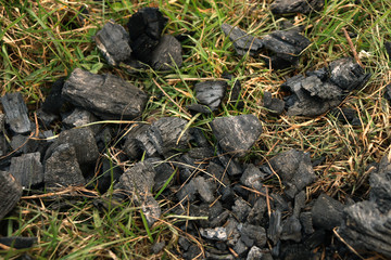 Coal on the grass. Coal. The cooled bonfire.