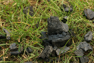 Coal. Coal on the grass. Remains of a bonfire.