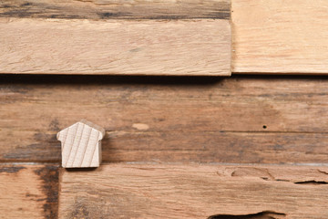 bois environnement nature arbre matiere