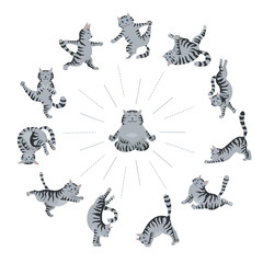 Cats yoga. Different yoga poses and exercises. Striped and tabby cat colors
