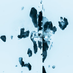 The Rorschach's test.
Blue monochrome illustration who makes you think of a Rorschach's test