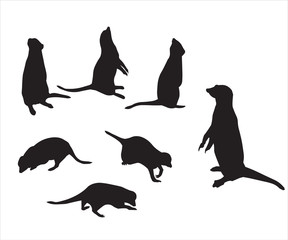 Vector set of a black silhouette meerkats. Illustration isolated on white background. Icon meerkat side view profile, full face, sitting, standing, crawling, looking, looking out.