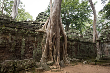 Cambodia day trip